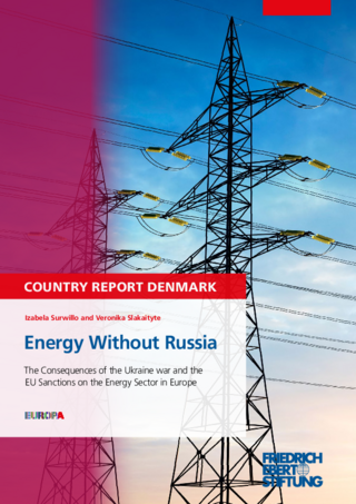 Energy without Russia: Country report Denmark
