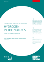 Hydrogen in the Nordics